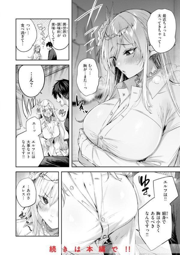 独身ハンターの出逢いはエルフの森で【単行本版】