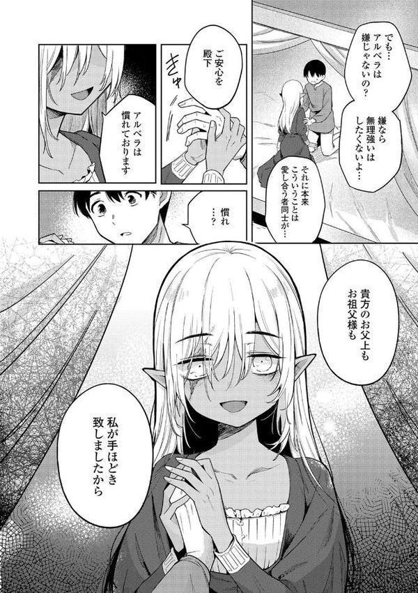 徒花のガルデン【FANZA限定特典付き】